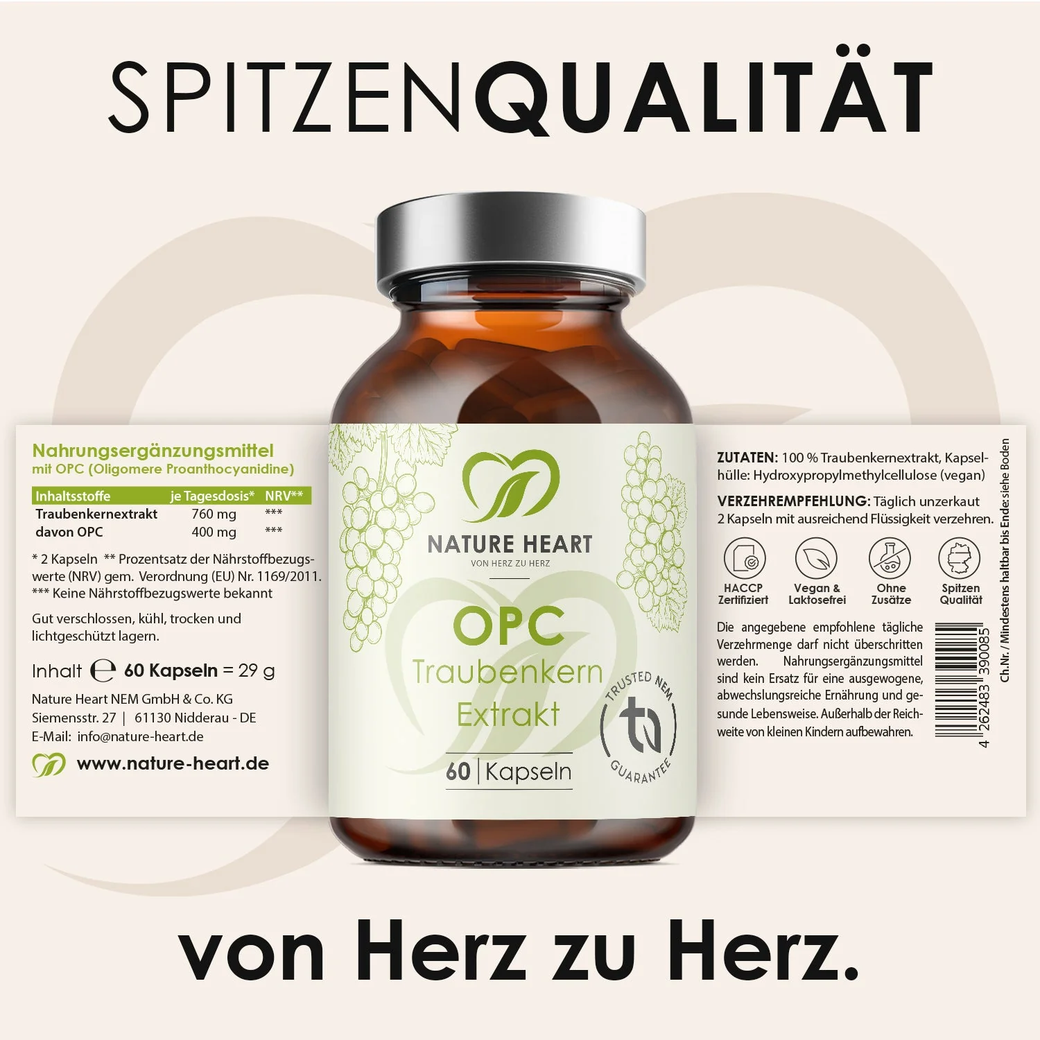 Vorschaubild 5