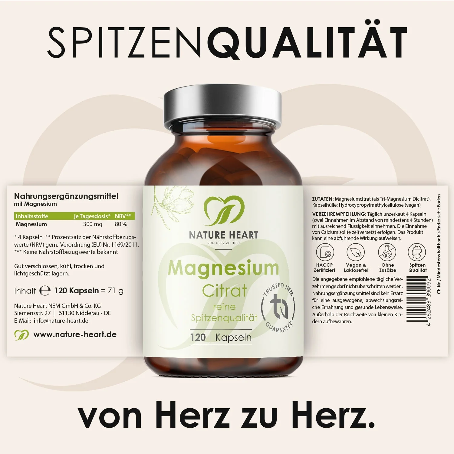 Vorschaubild 6