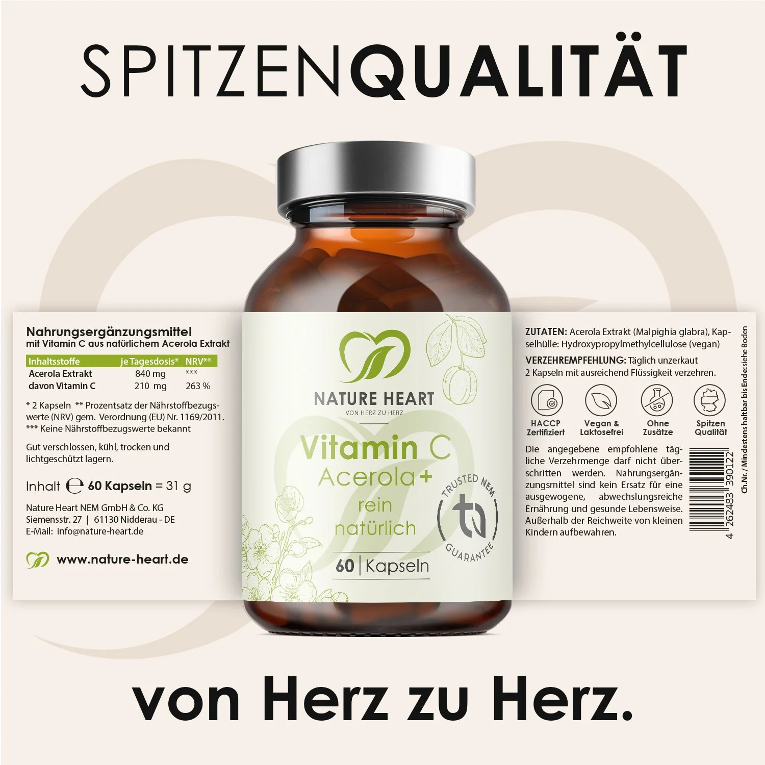 Vorschaubild 5