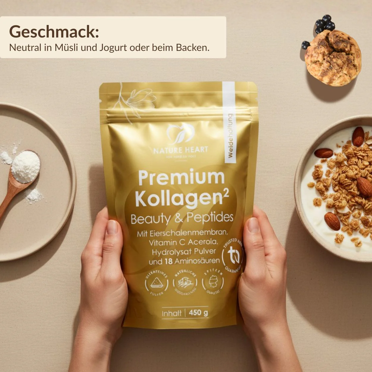 Vorschaubild 5